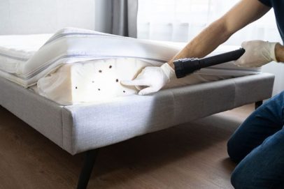 Bed-Bugs-Management